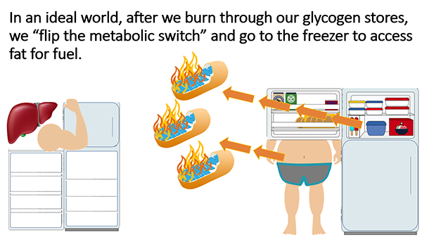 Metabolic Switch