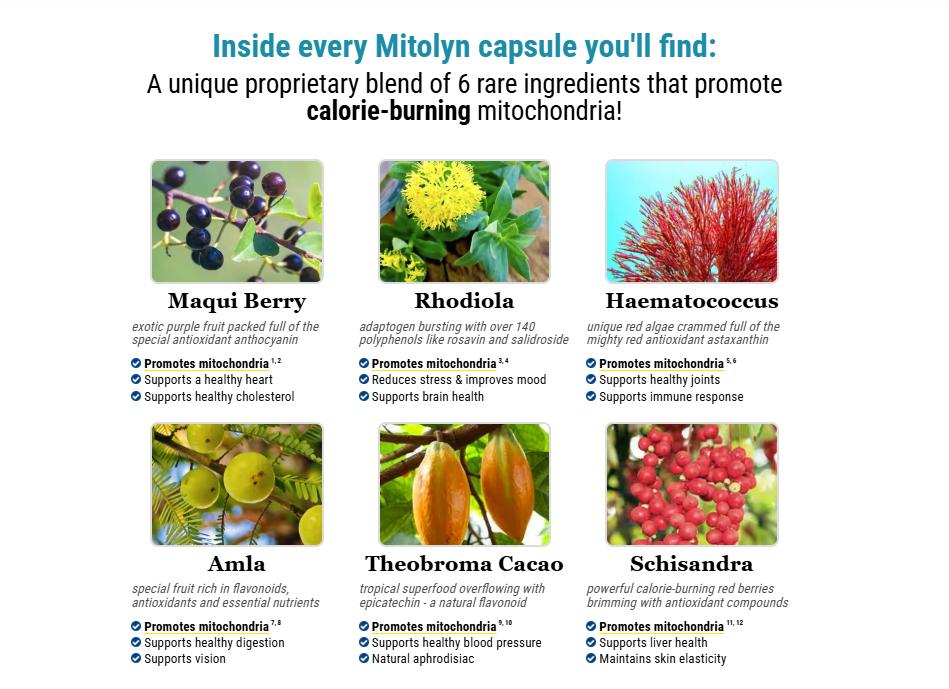 mitolyn supplement